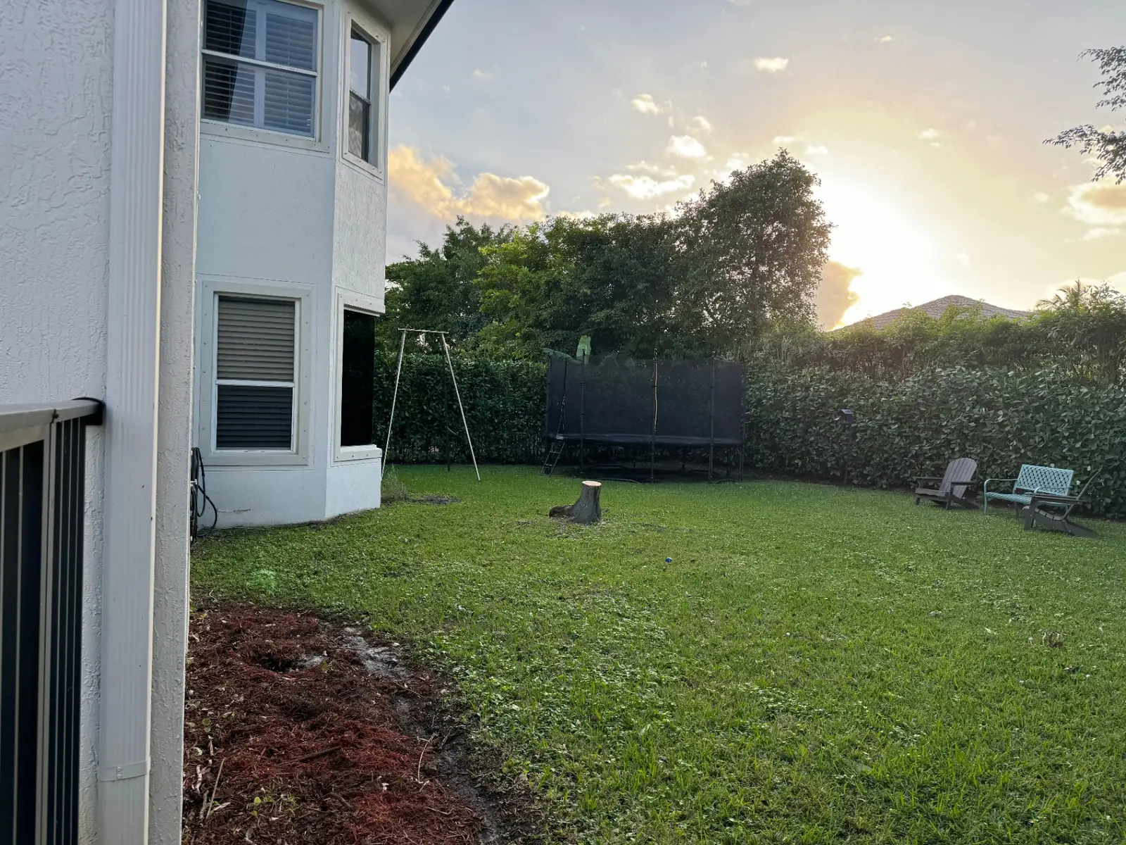 The Canivel before the build